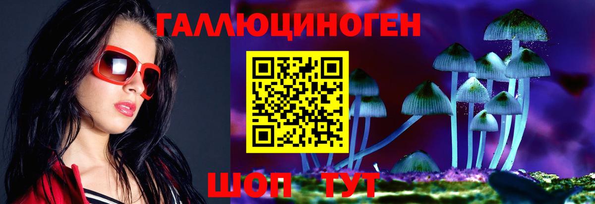 Галлюциногенные грибы MAGIC MUSHROOMS  Вход с VPN  Каменск-Шахтинский 