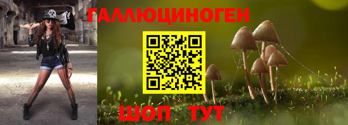 Псилоцибиновые грибы мухоморы Каменск-Шахтинский
